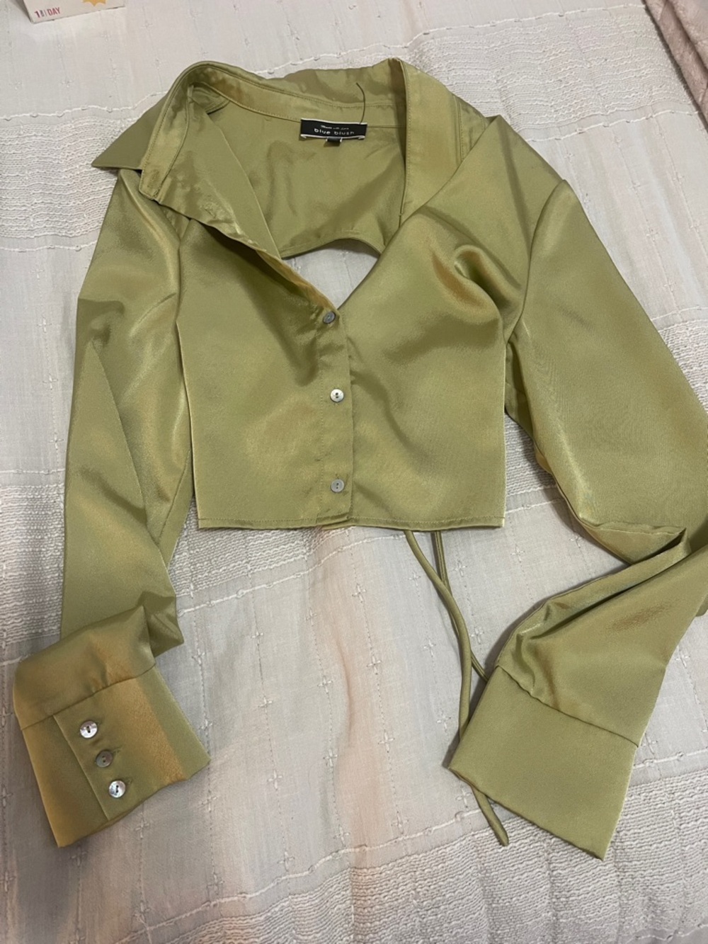 Blue Blush Olive Green Satin Cropped Button-Down Shirt